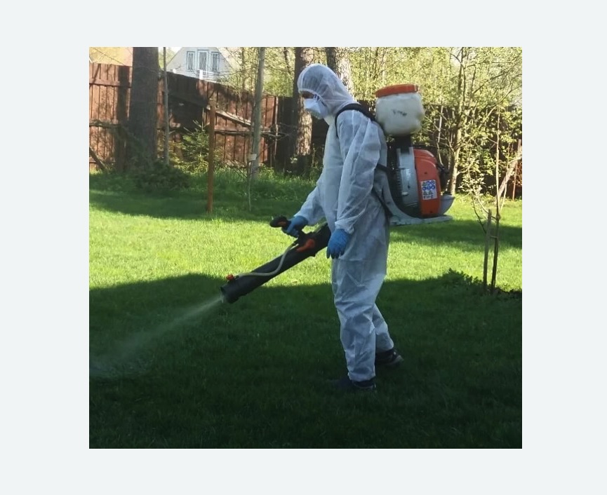 Обработка территории от клещей в Лыткарино