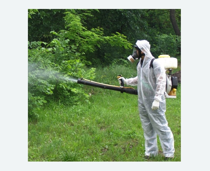 обработка территории от клещей в Лыткарино