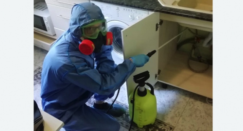 Уничтожение муравьев в квартире. Лыткарино