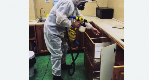 Уничтожение насекомых в квартире. Лыткарино