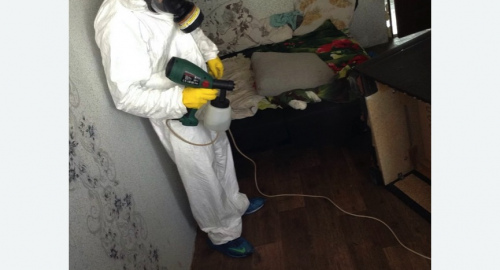 Обработка квартир от насекомых в Лыткарино