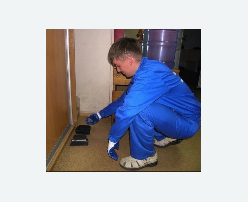 Дератизация крыс в Лыткарино