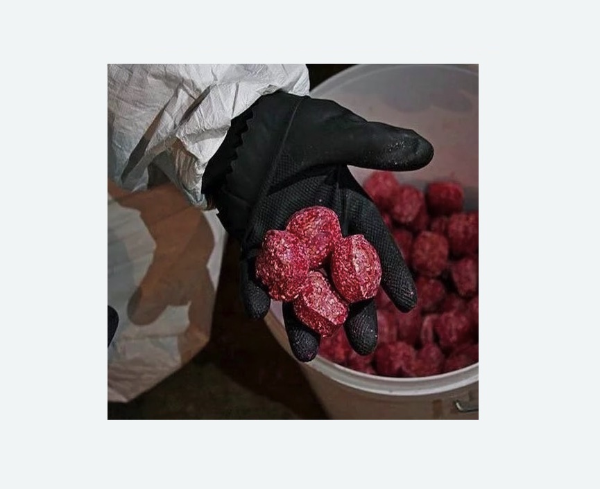 Обработка от крыс в Лыткарино