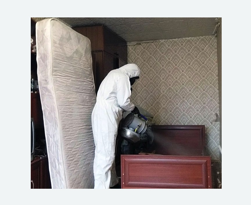 дезинфекция от клопов в Лыткарино