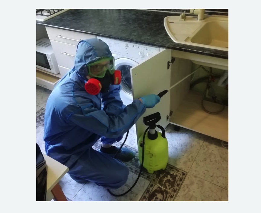 обработка от муравьев в квартире в Лыткарино