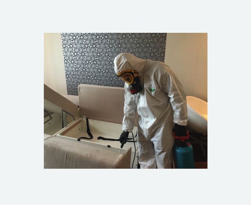 уничтожение клопов в квартире в Лыткарино