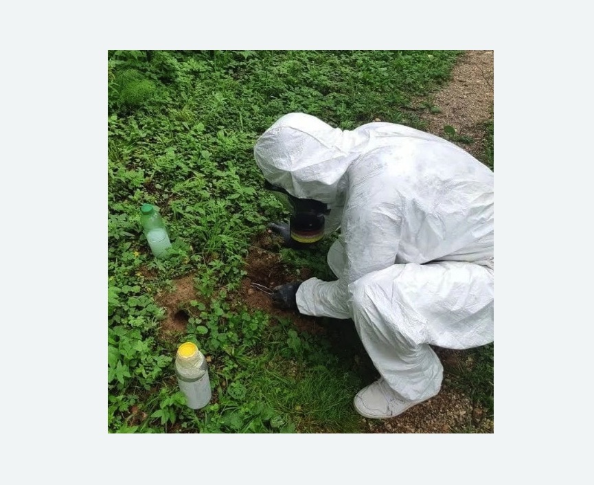 уничтожение кротов на участке в Лыткарино