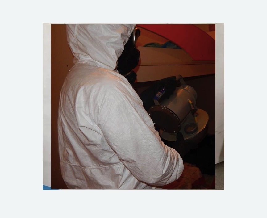 Дезинфекция от муравьев в Лыткарино