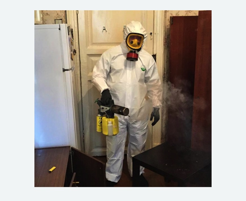 уничтожение муравьев в квартире в Лыткарино